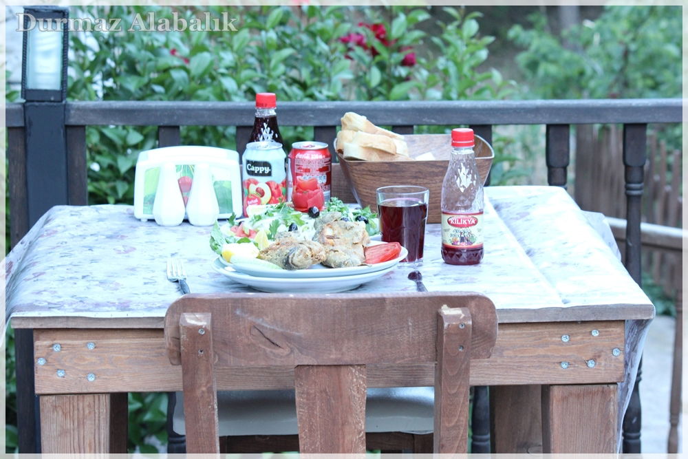 Tırmanlar Alabalık çiftliği Restorant