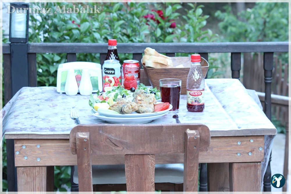 Tırmanlar Alabalık çiftliği Restorant