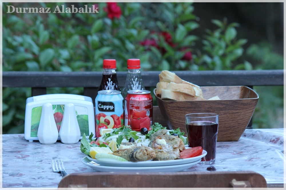 Tırmanlar Alabalık çiftliği Restorant