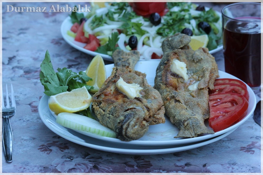 Tırmanlar Alabalık çiftliği Restorant