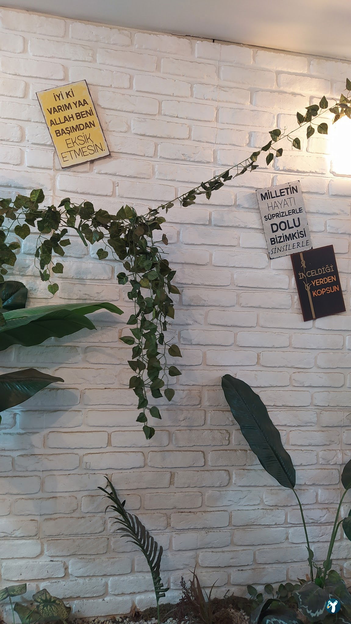 Karanfil Cafe