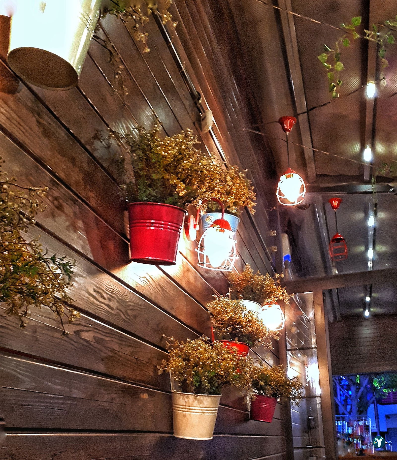 Karanfil Cafe
