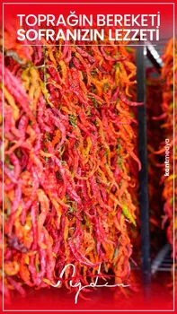 Aydın Tava Ciğer resimleri