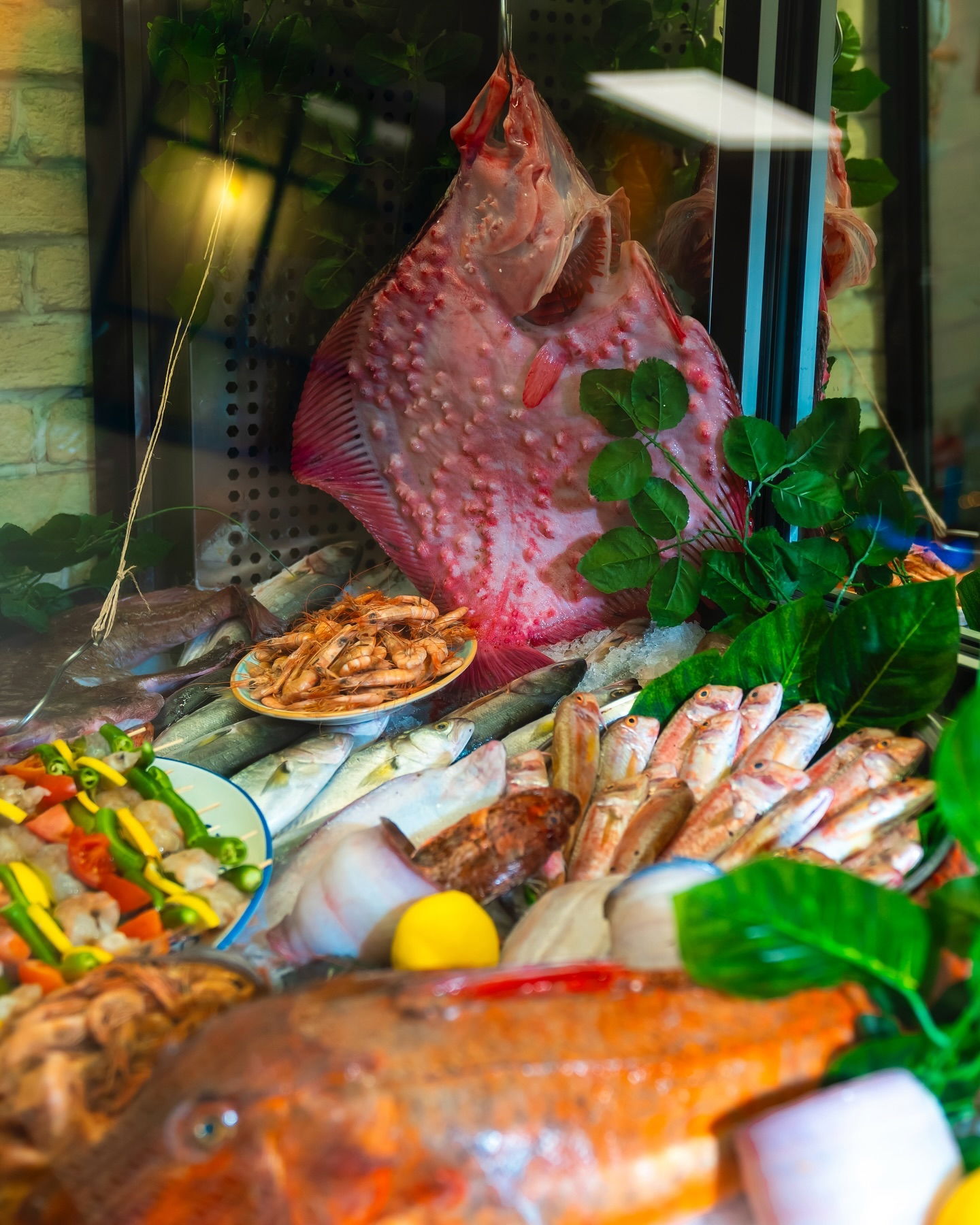 Kalikratya Balık Mimarsinan