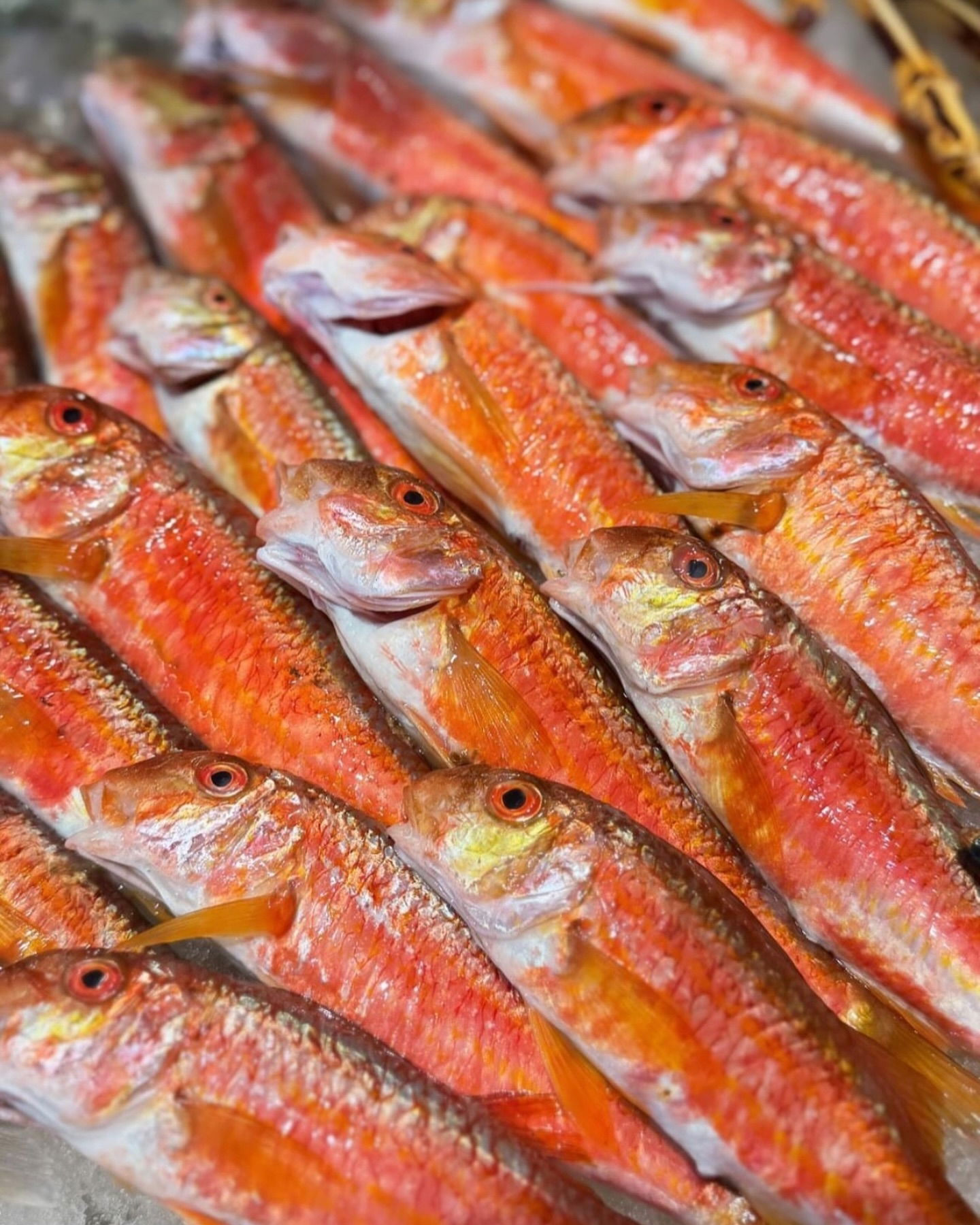 Kalikratya Balık Mimarsinan