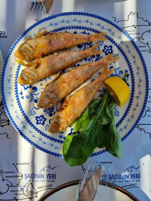 Poyraz Şadinin Yeri