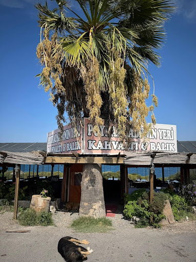 Poyraz Şadinin Yeri