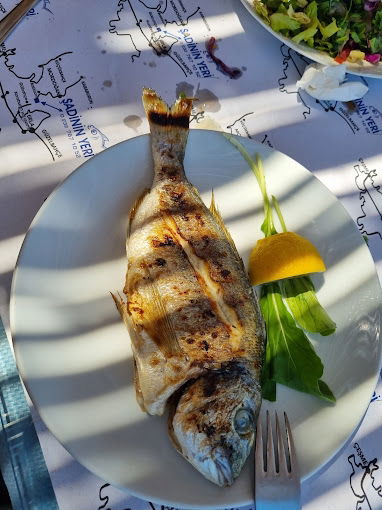 Poyraz Şadinin Yeri