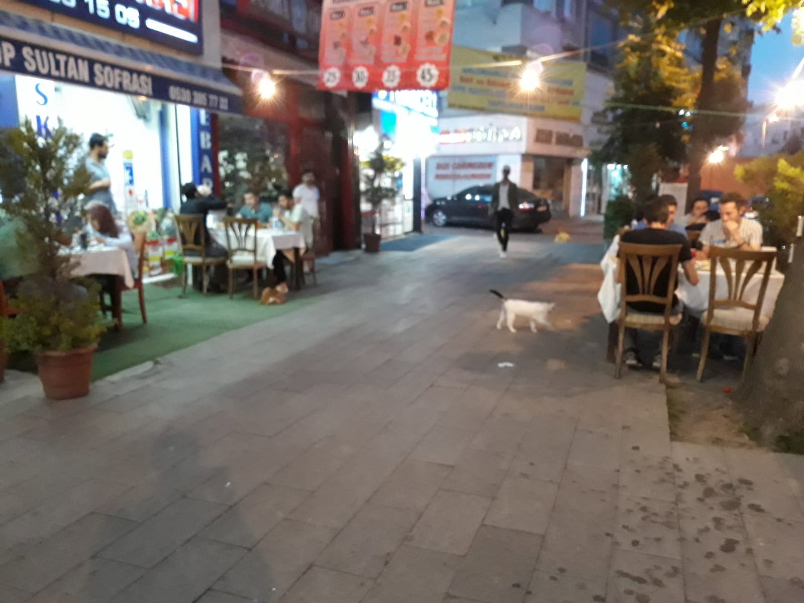 Eyüp Sultan Sofrası