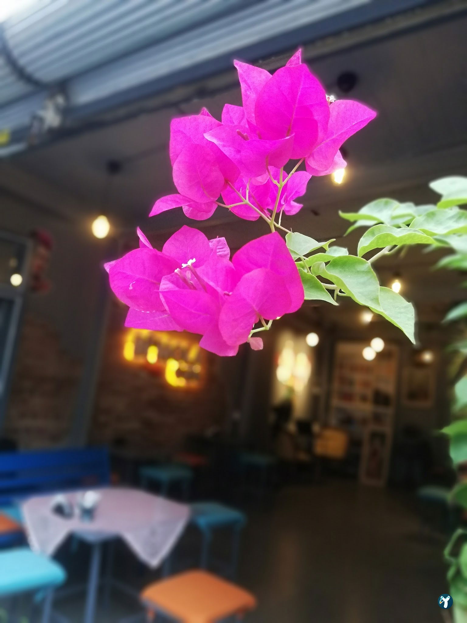 Bimola Cafe Adana