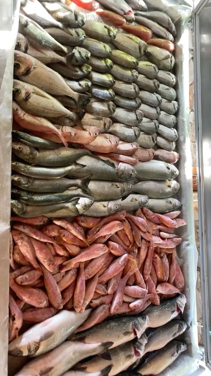 Can Balık Restaurant