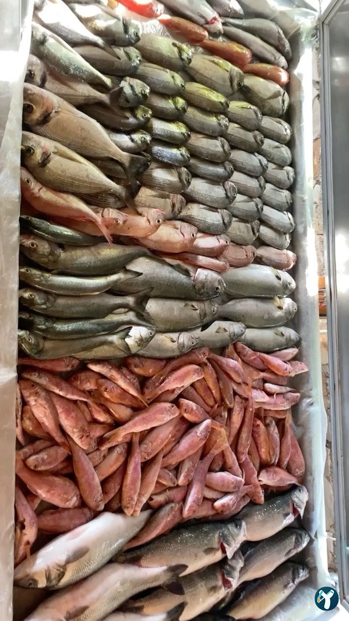 Can Balık Restaurant