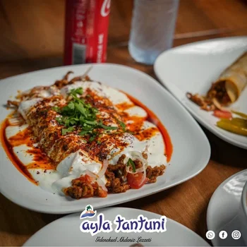 Ayla Tantuni resimleri