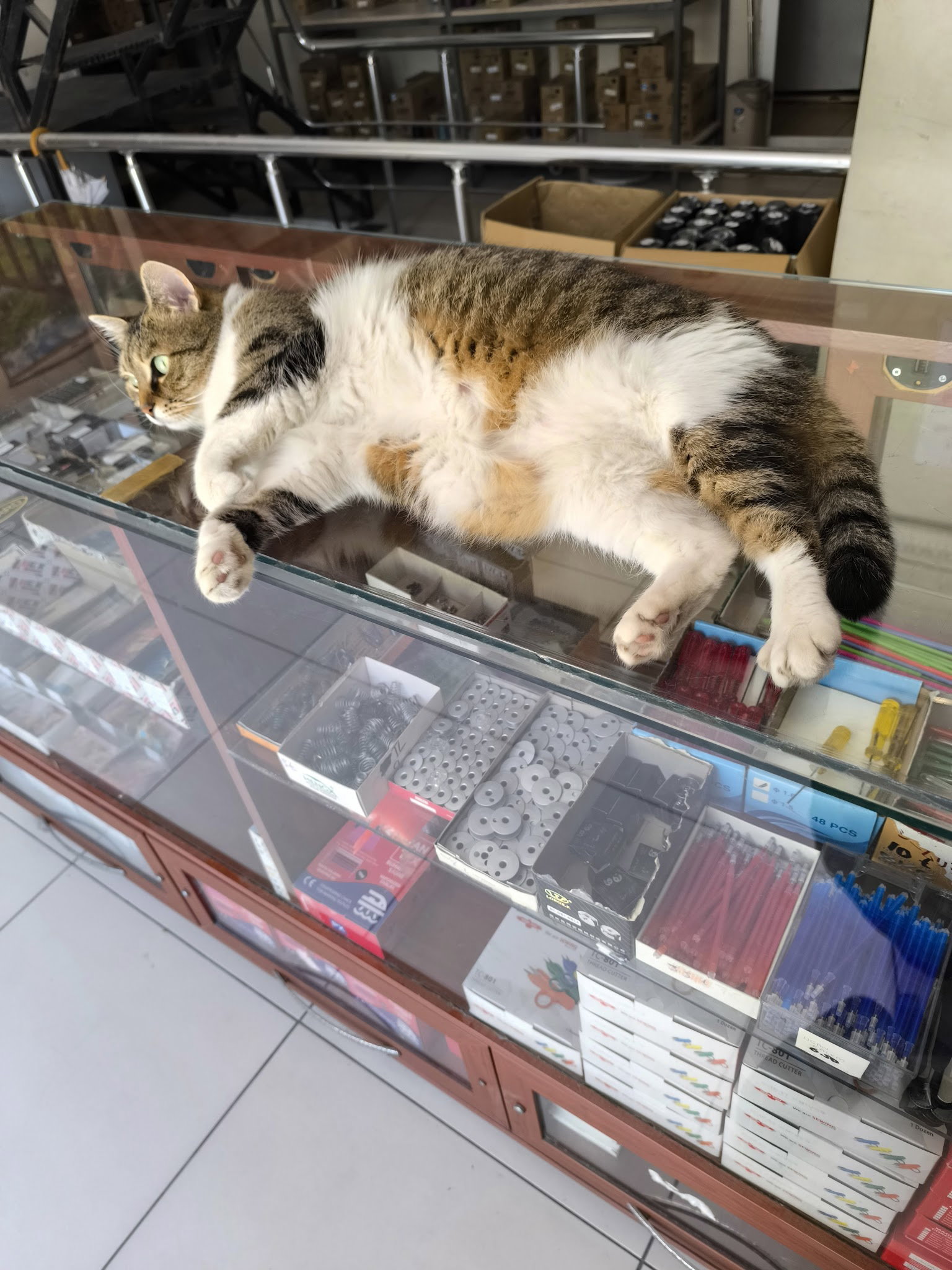 Bi Lahmacun Kebap & Pide