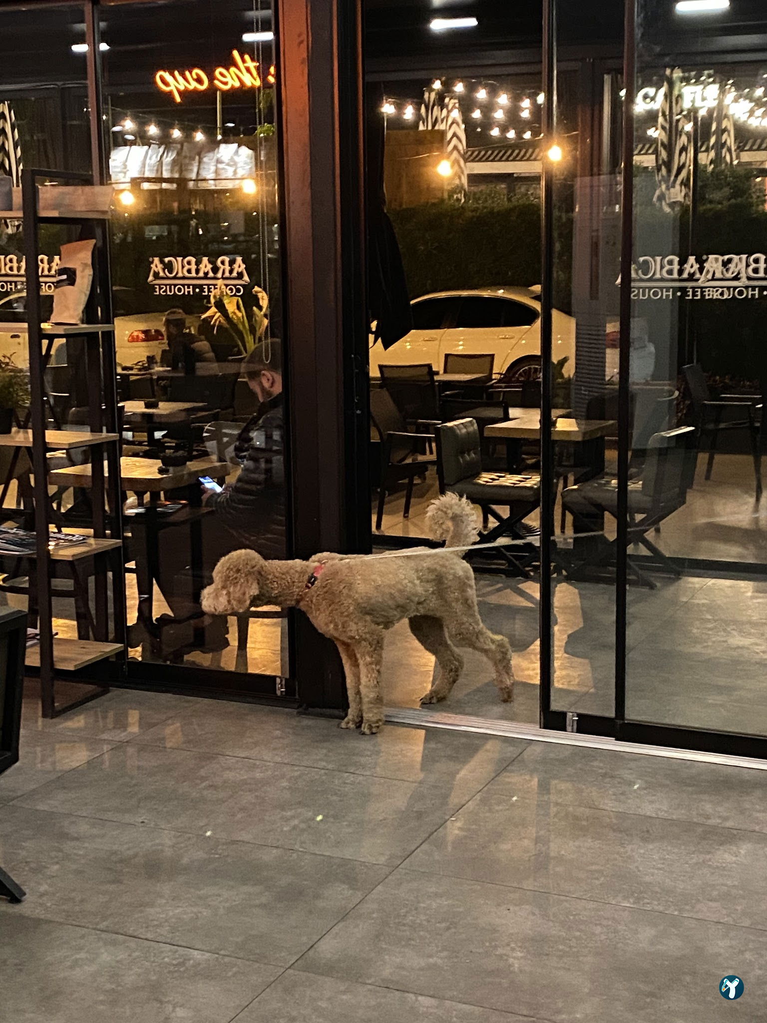 Arabica Coffee House Antalya Lara