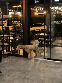 Arabica Coffee House Antalya Lara resimleri Arabica Coffee House Antalya Lara resimleri