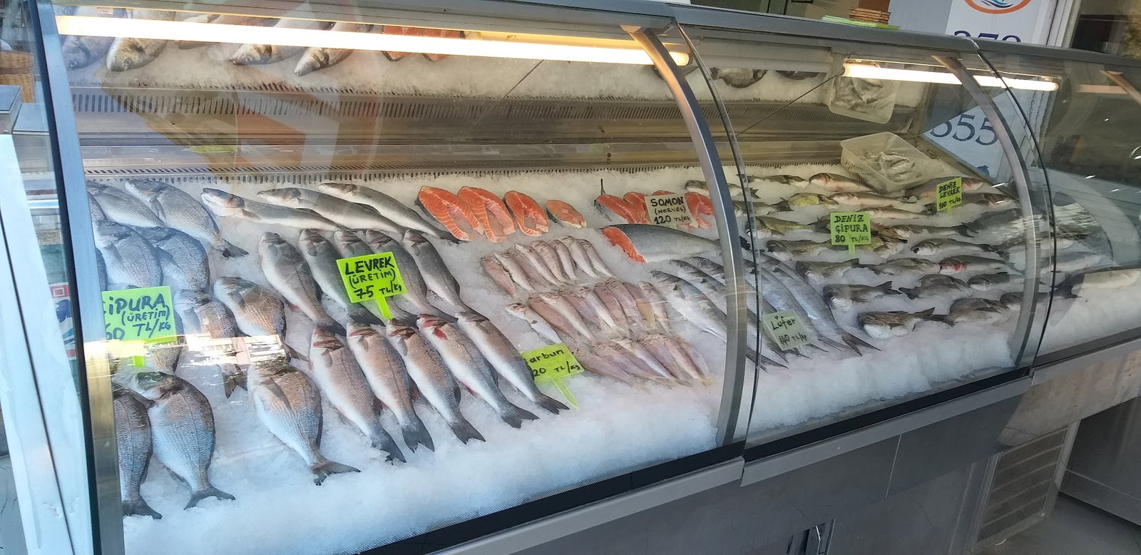 Mavi Doğa Balık Evi