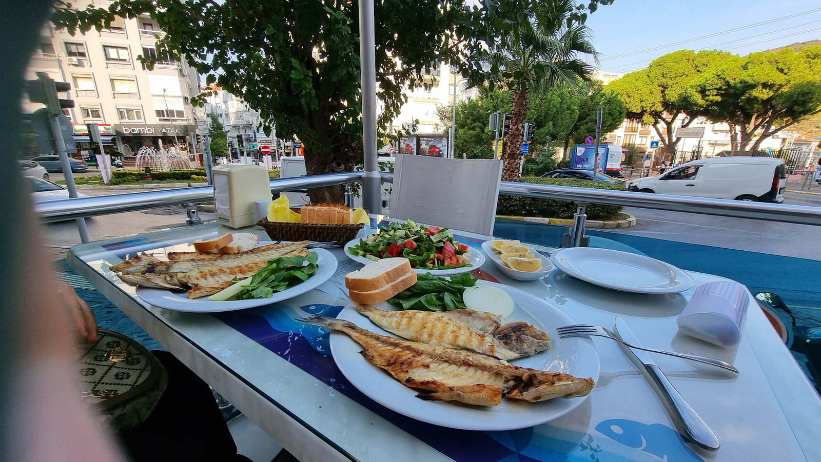 Mavi Doğa Balık Evi