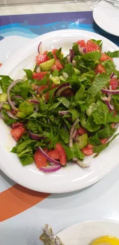 Mavi Doğa Balık Evi resimleri