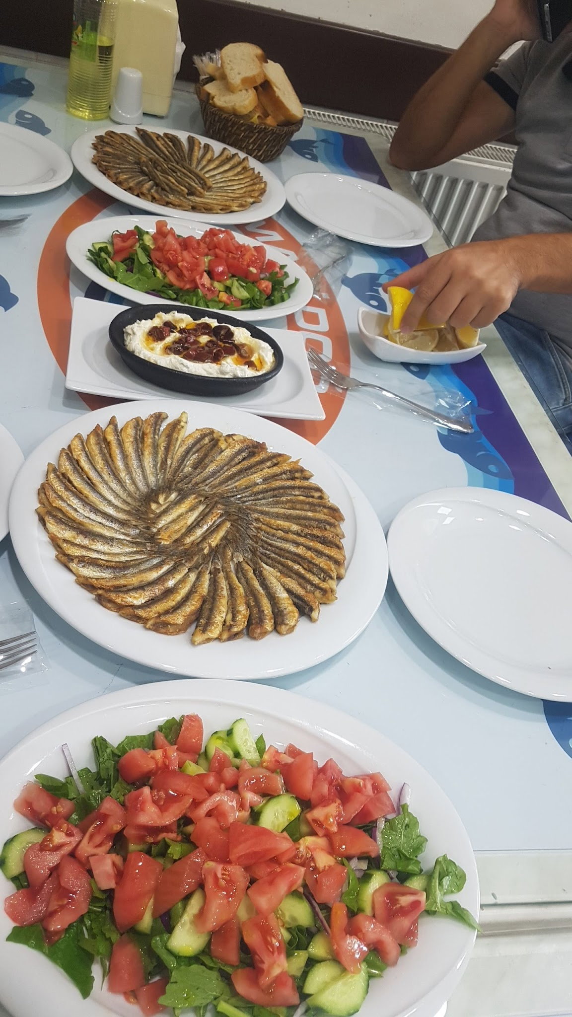 Mavi Doğa Balık Evi