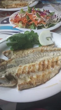 Mavi Doğa Balık Evi resimleri