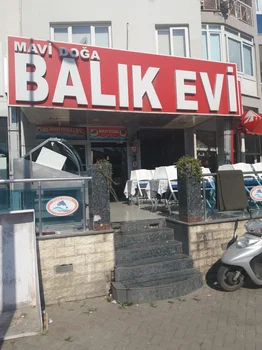 Mavi Doğa Balık Evi resimleri