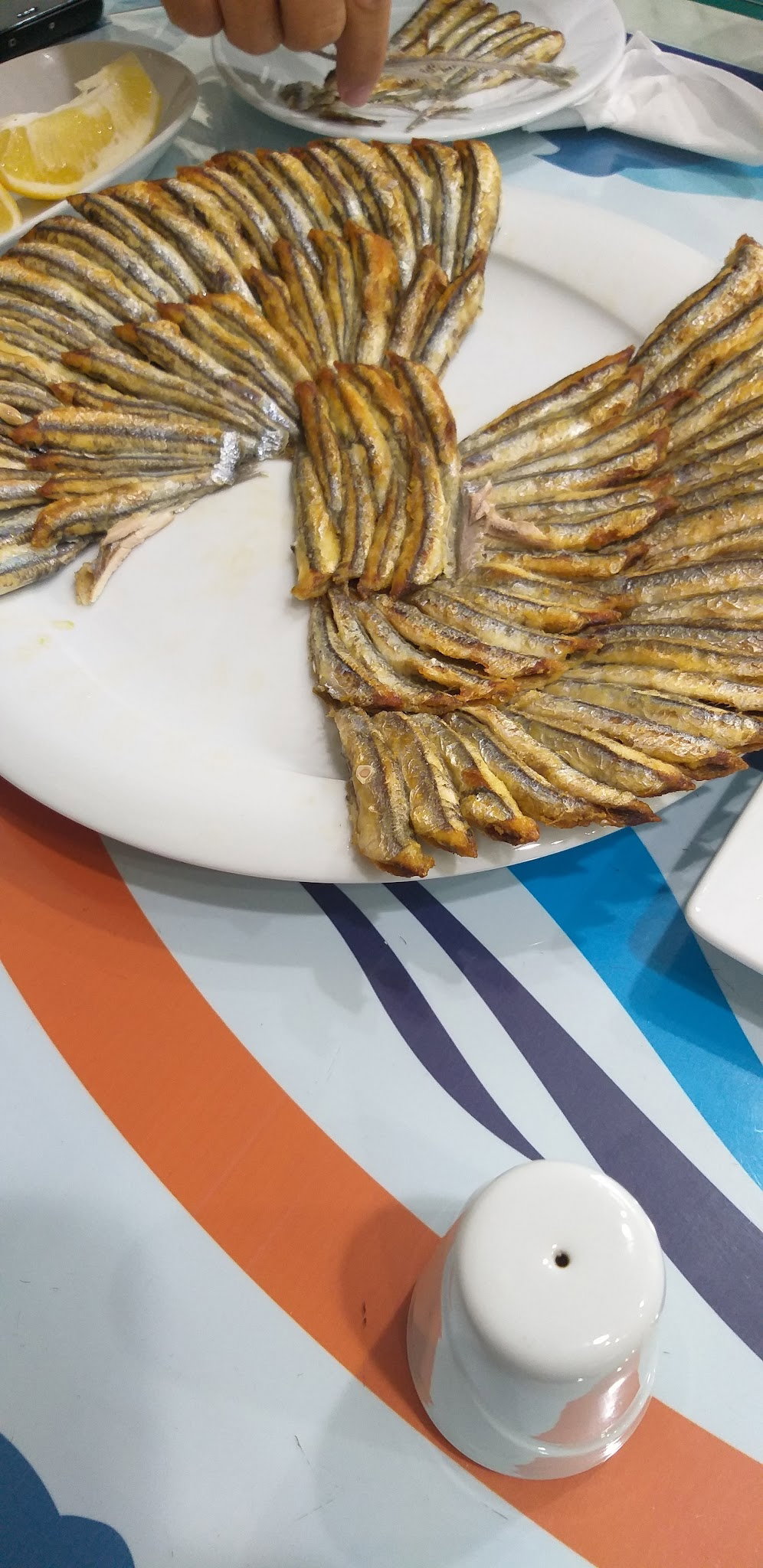 Mavi Doğa Balık Evi