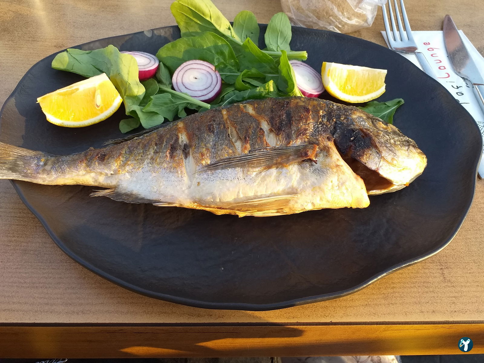 Paçi Lounge