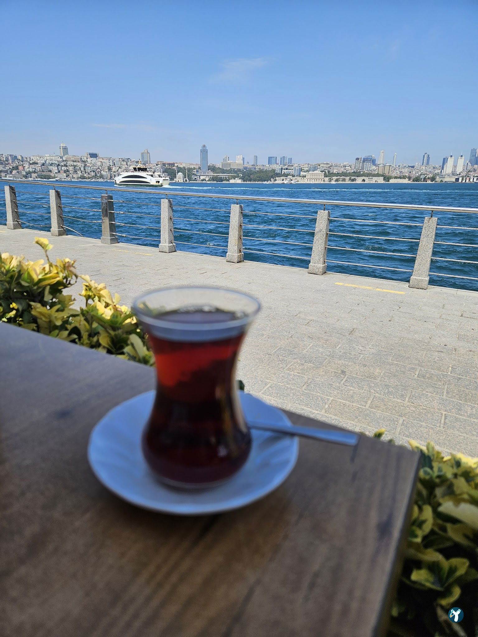 Paçi Lounge