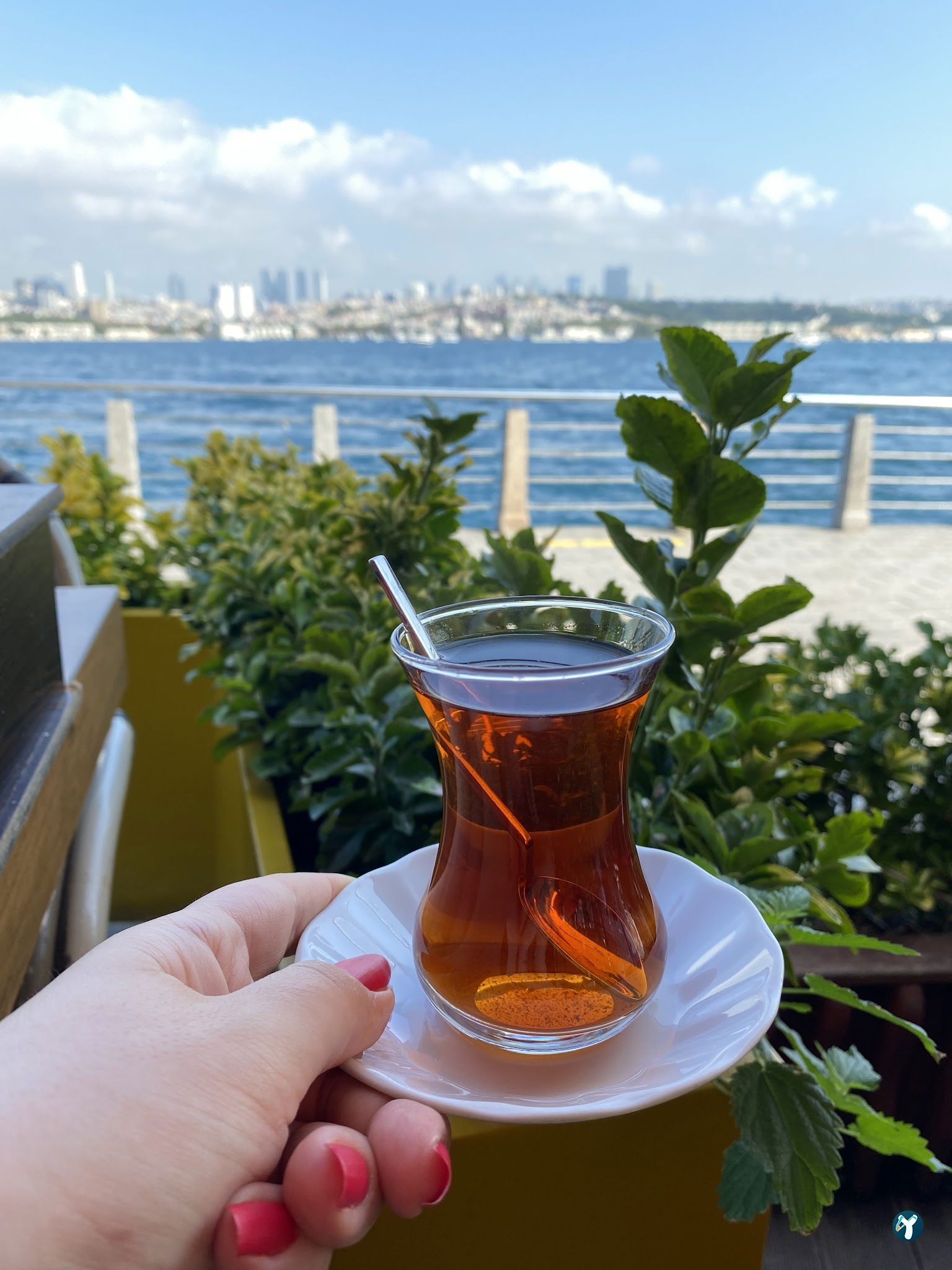 Paçi Lounge