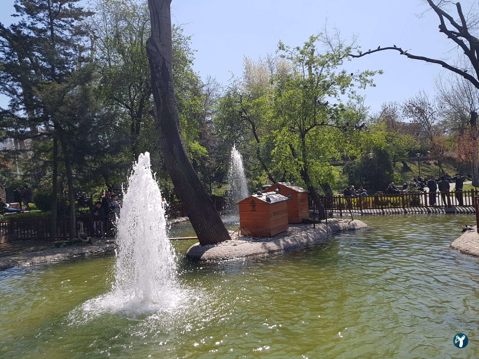Kebap 49