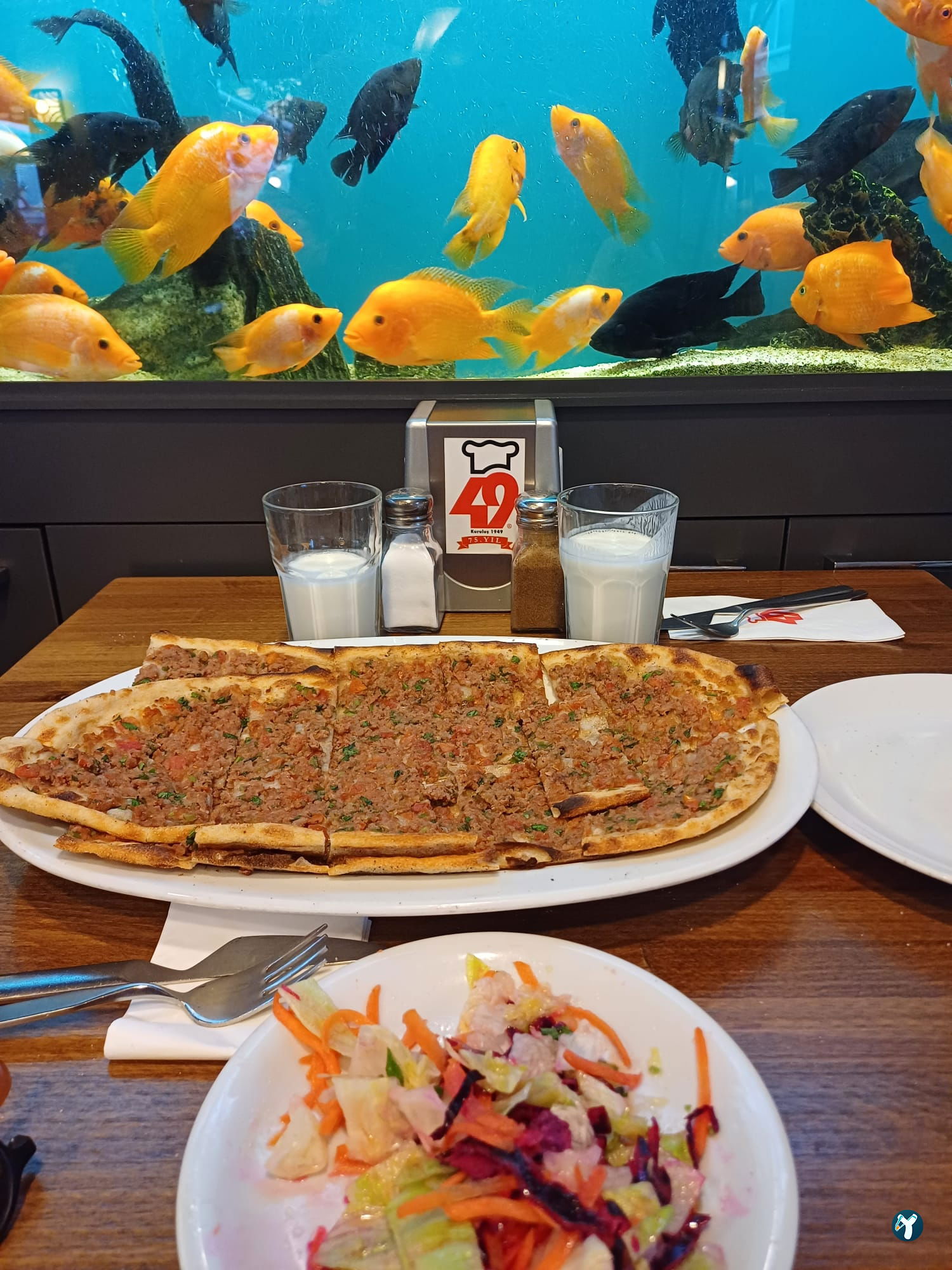 Kebap 49