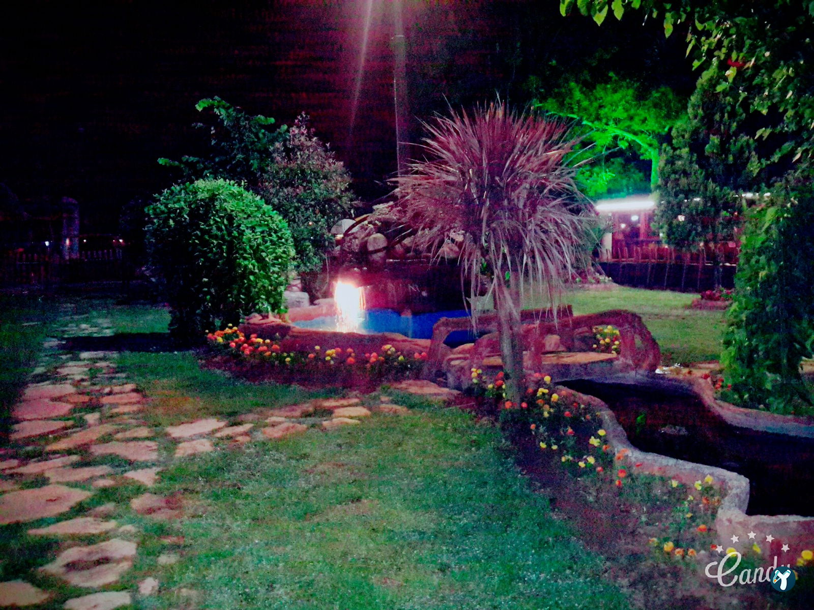 Baran Et Mangal