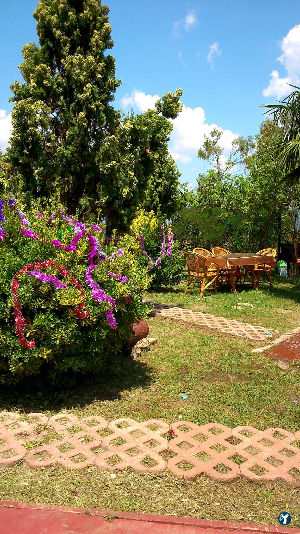 Haşmetli Cafe