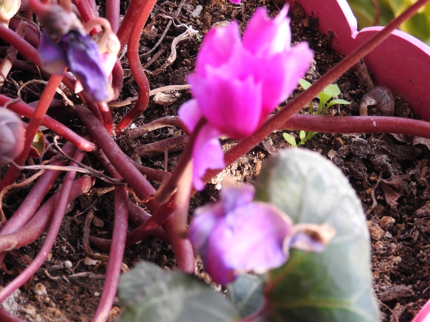 Güneş Restaurant Et & Balik