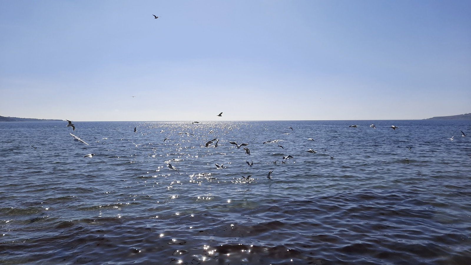 Güneş Restaurant Et & Balik