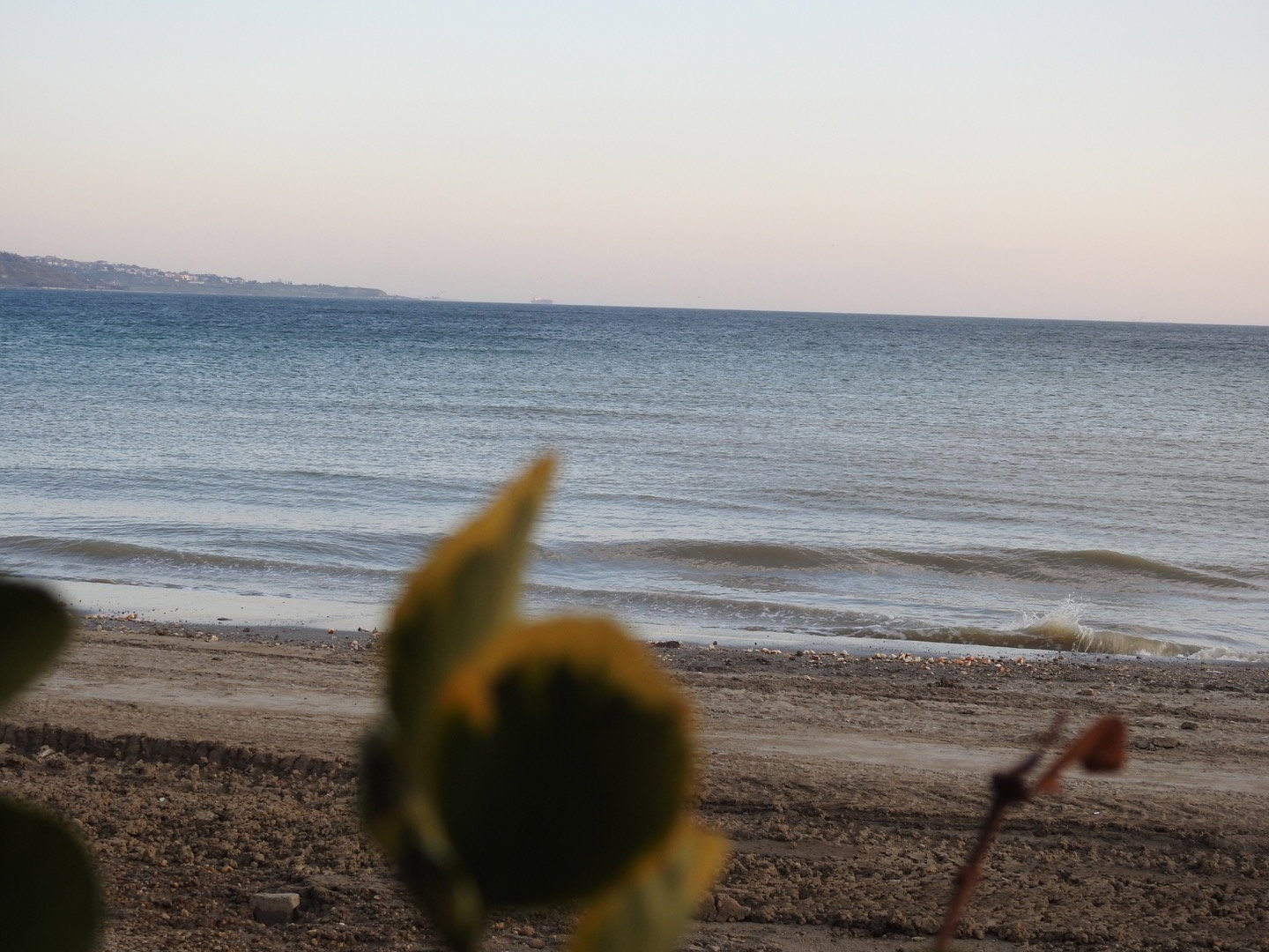 Güneş Restaurant Et & Balik