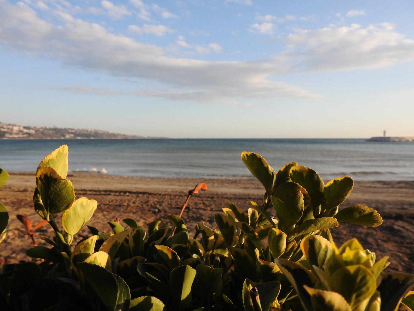 Güneş Restaurant Et & Balik