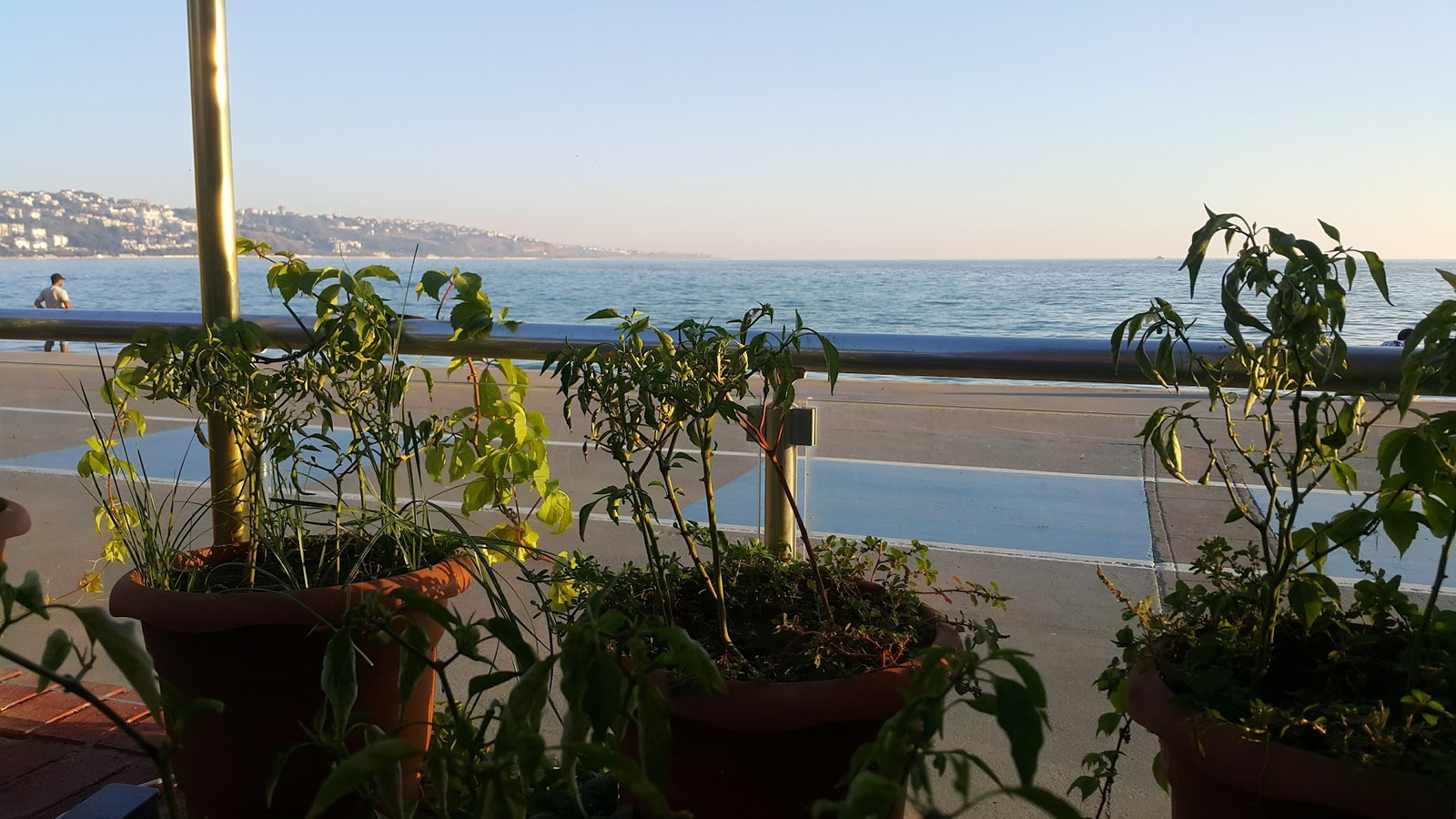 Güneş Restaurant Et & Balik