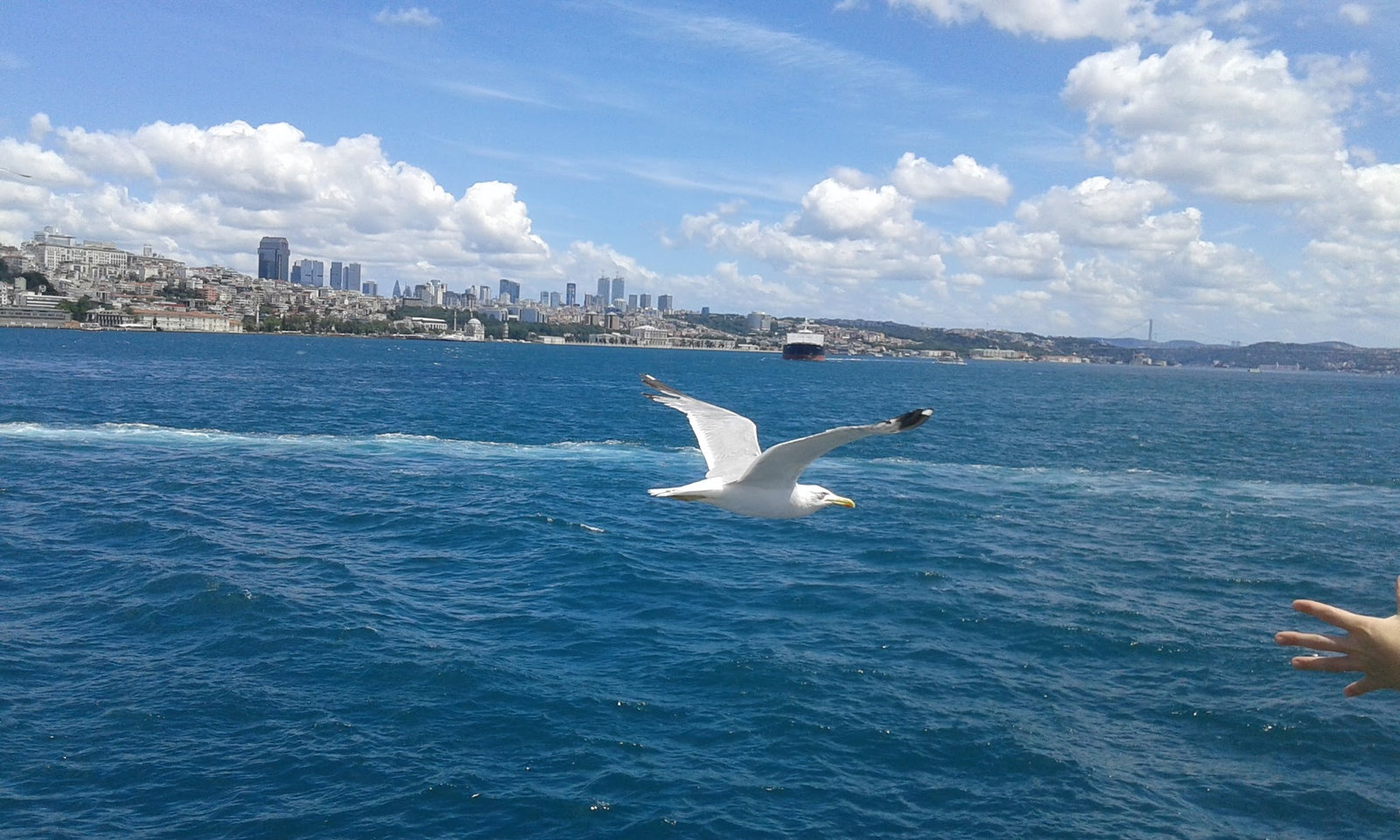 Güneş Restaurant Et & Balik