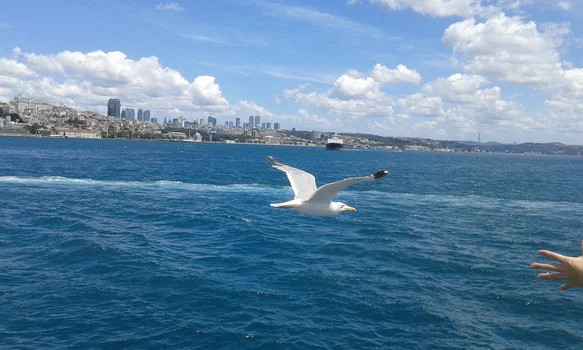 Güneş Restaurant Et & Balik resimleri