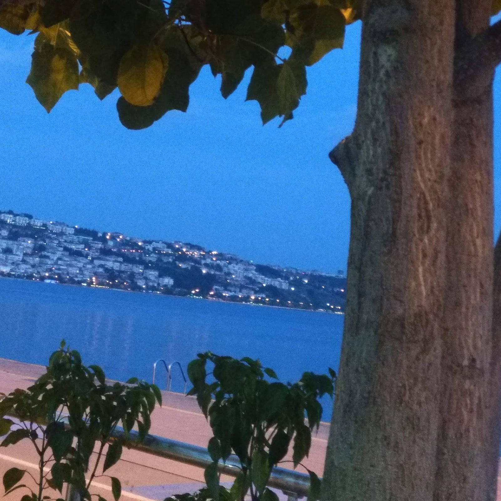 Güneş Restaurant Et & Balik