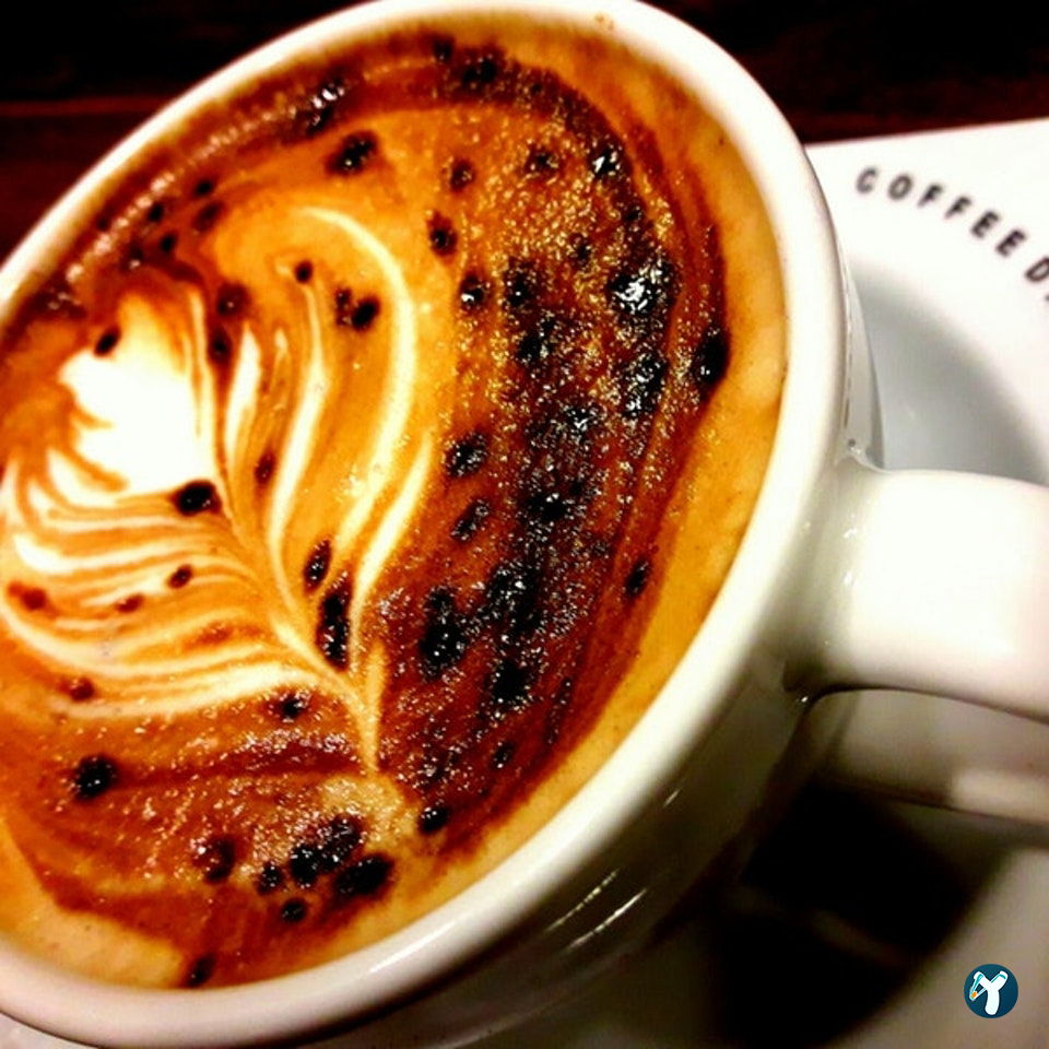 Coffee Dark