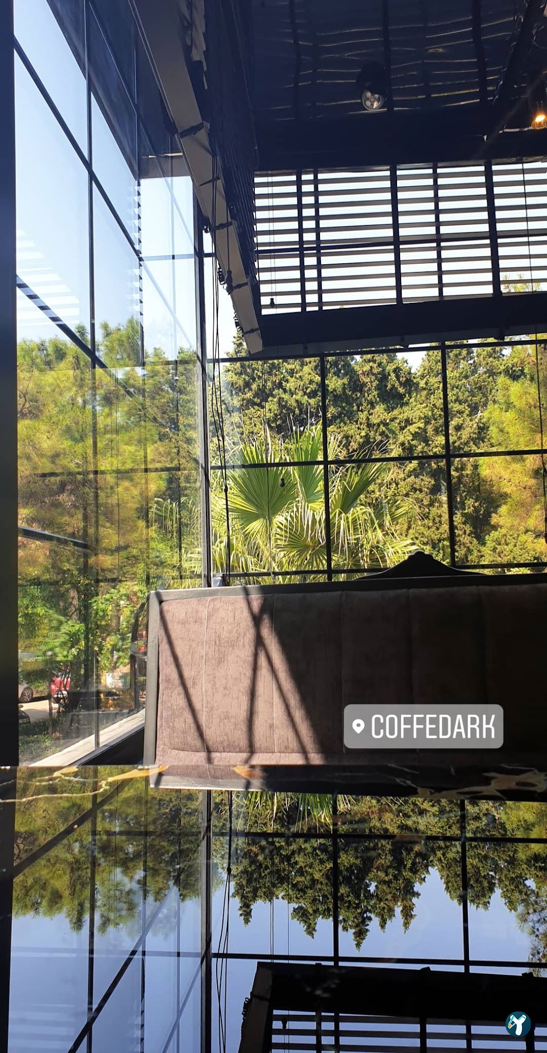 Coffee Dark