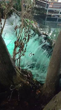 Defne Restaurant resimleri