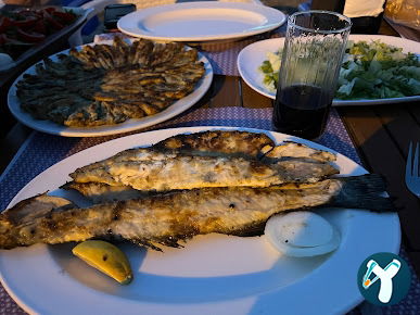 VGAS BEACH CLUB