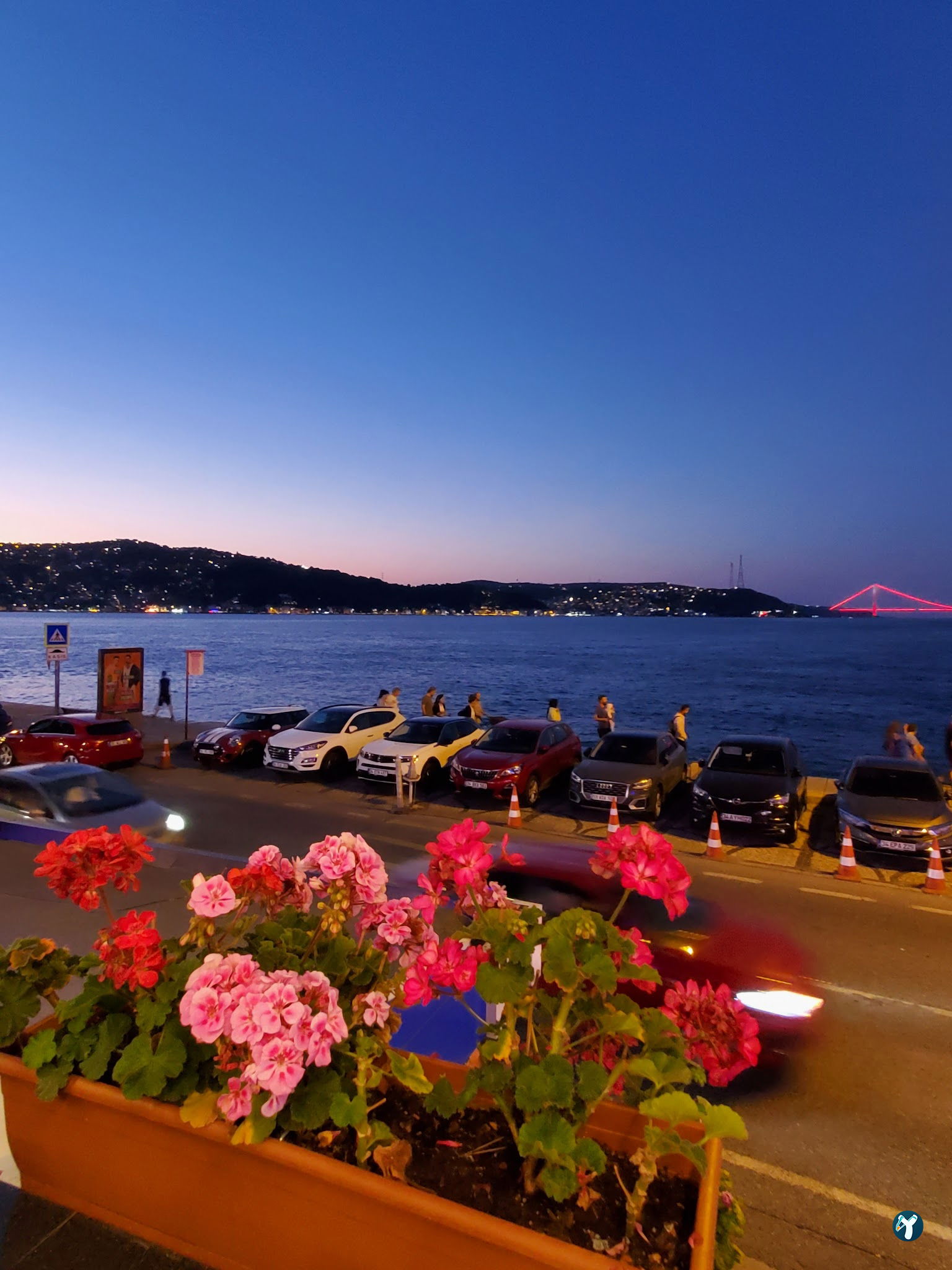 Therapia Boğaz Balık
