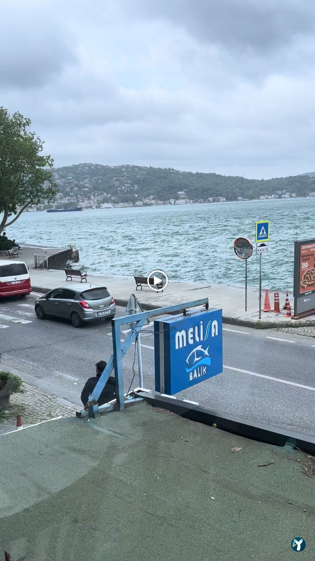Therapia Boğaz Balık