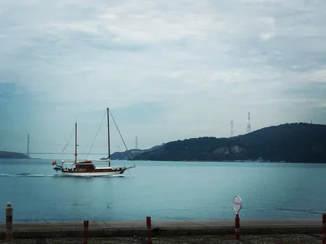 Therapia Boğaz Balık resimleri Therapia Boğaz Balık resimleri