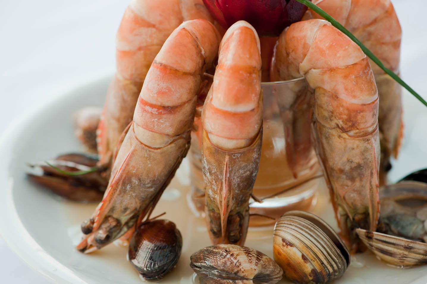 Therapia Boğaz Balık